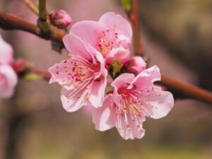 Frühling für die Beziehung